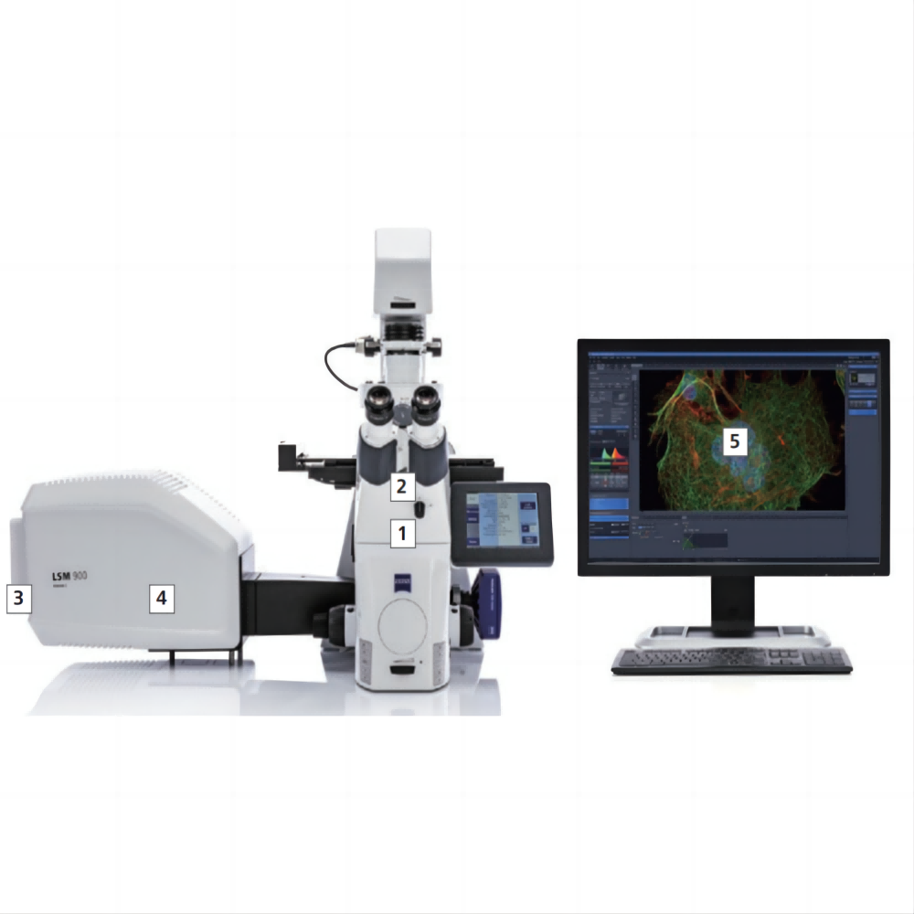 LSM 900激光共聚焦显微镜